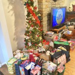 Christmas Holiday Time in common area.